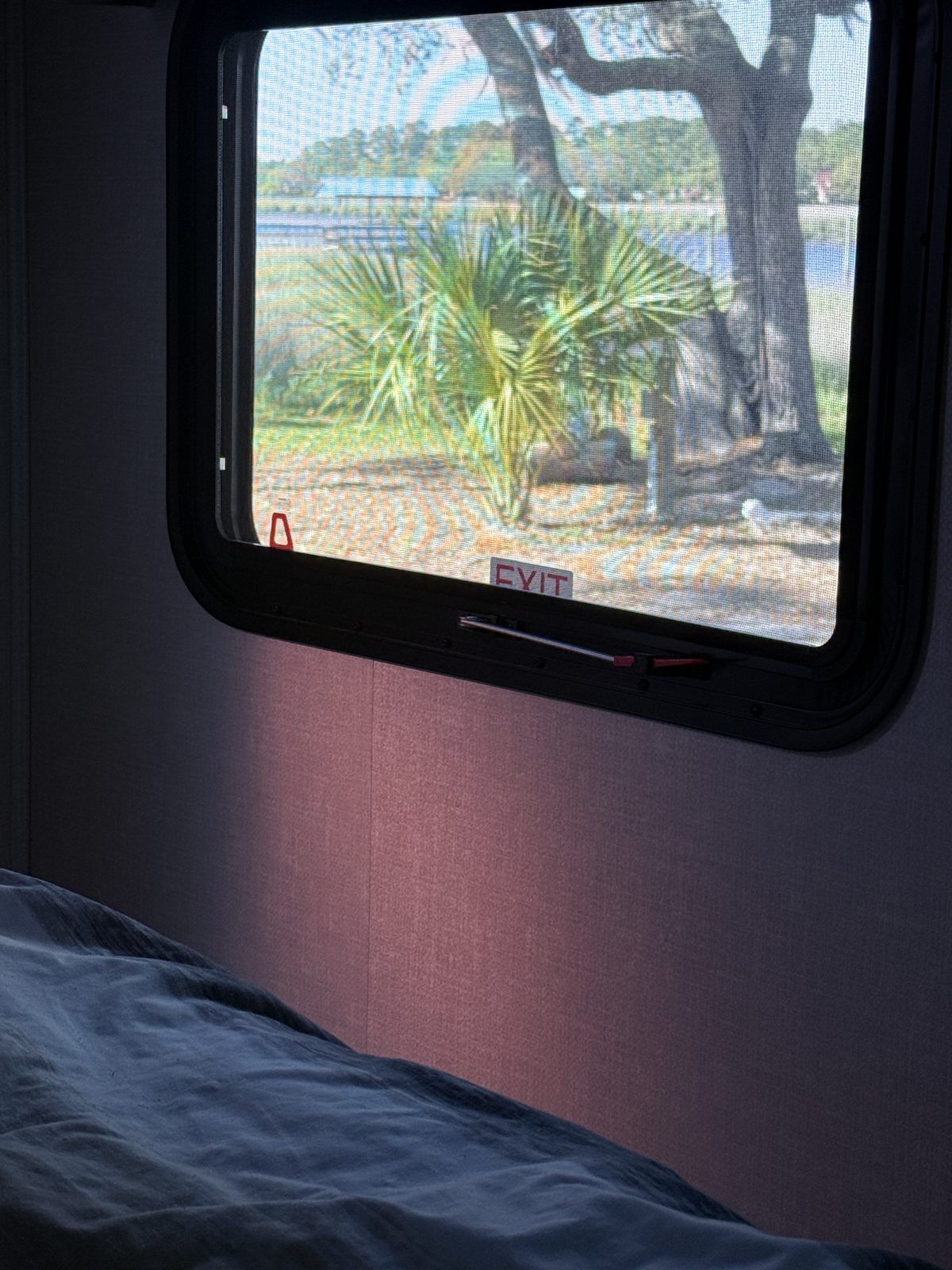 Our stay at Belle Bluff Island Campground
