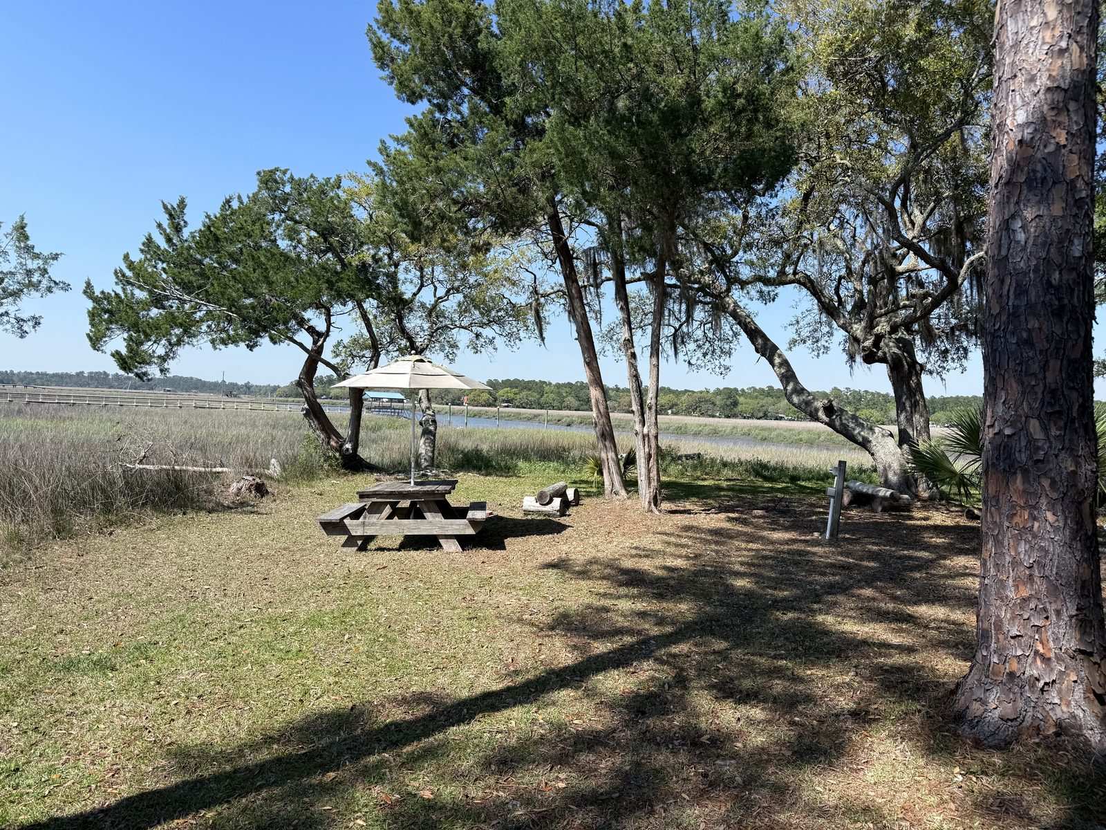 Photos from our stay at Belle Bluff Island Campground