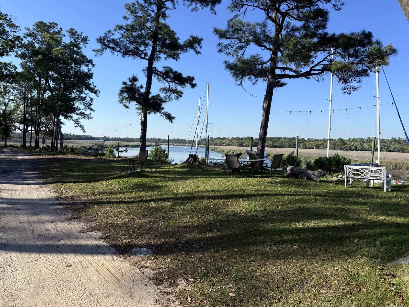 Around our site at Belle Bluff Island Campground