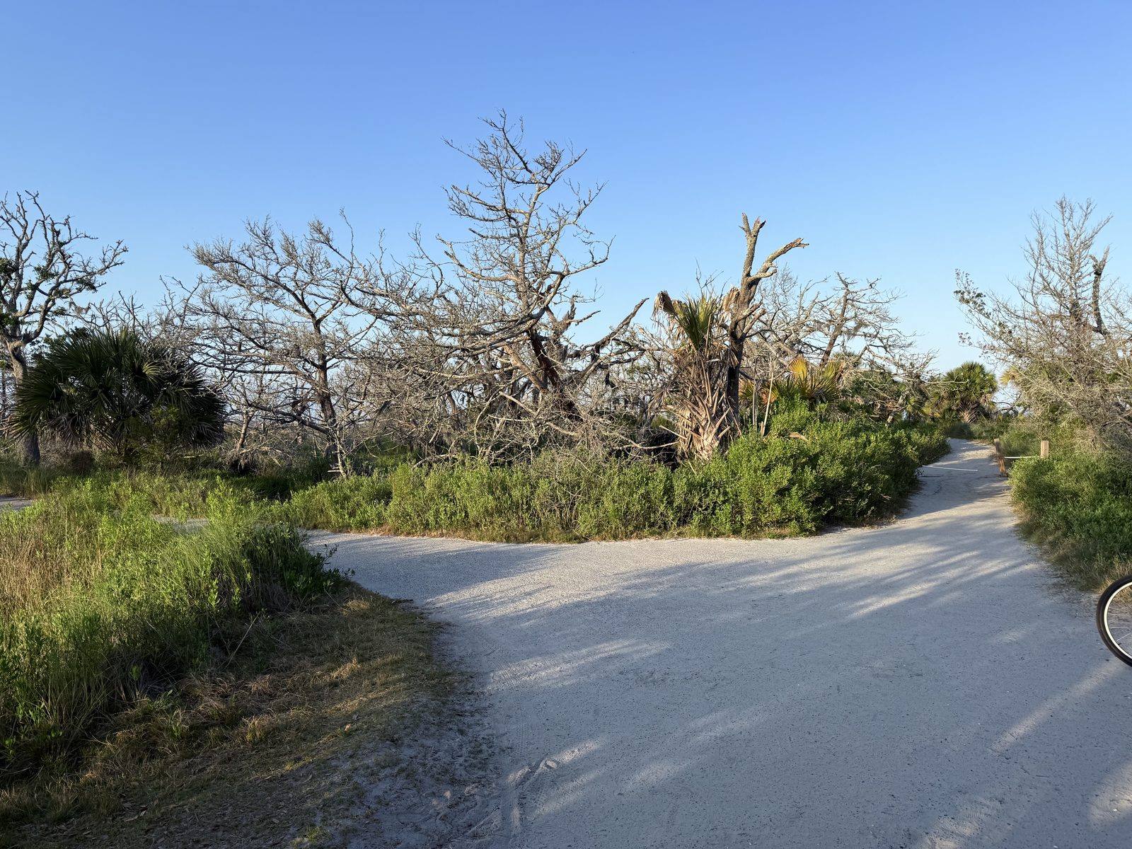 Photos from our stay at Jekyll Island Campground