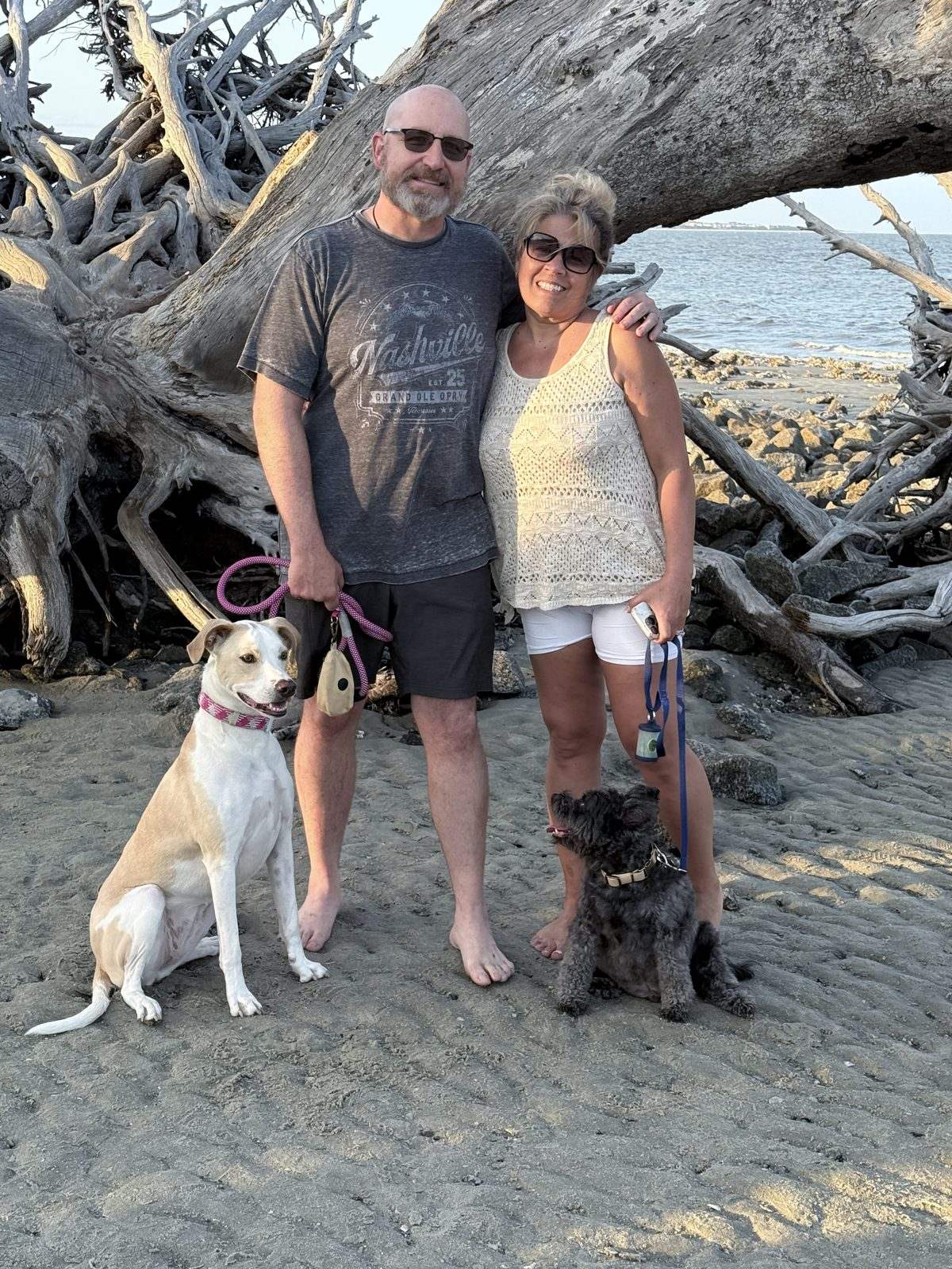 Around our site at Jekyll Island Campground