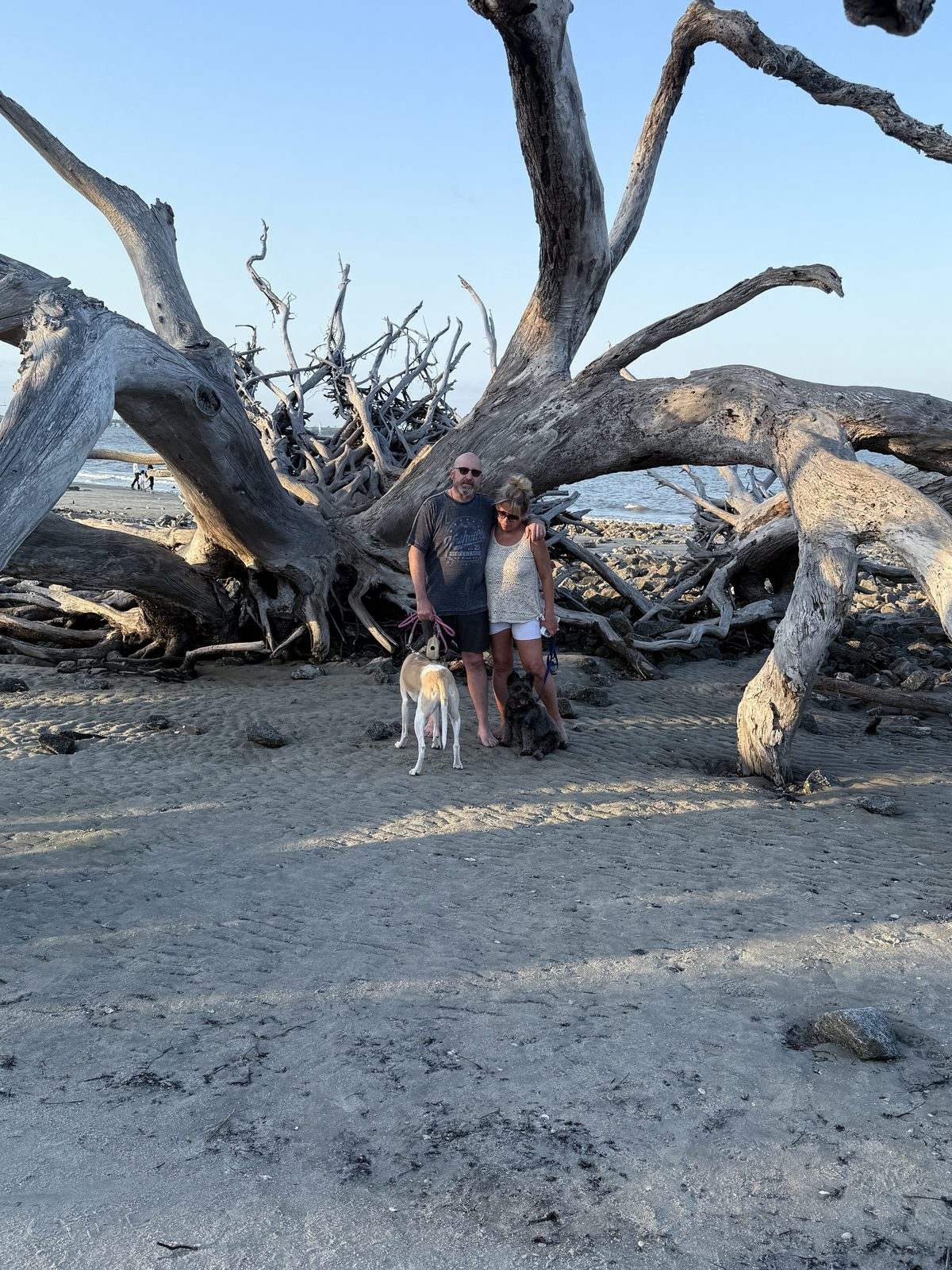 Our stay at Jekyll Island Campground
