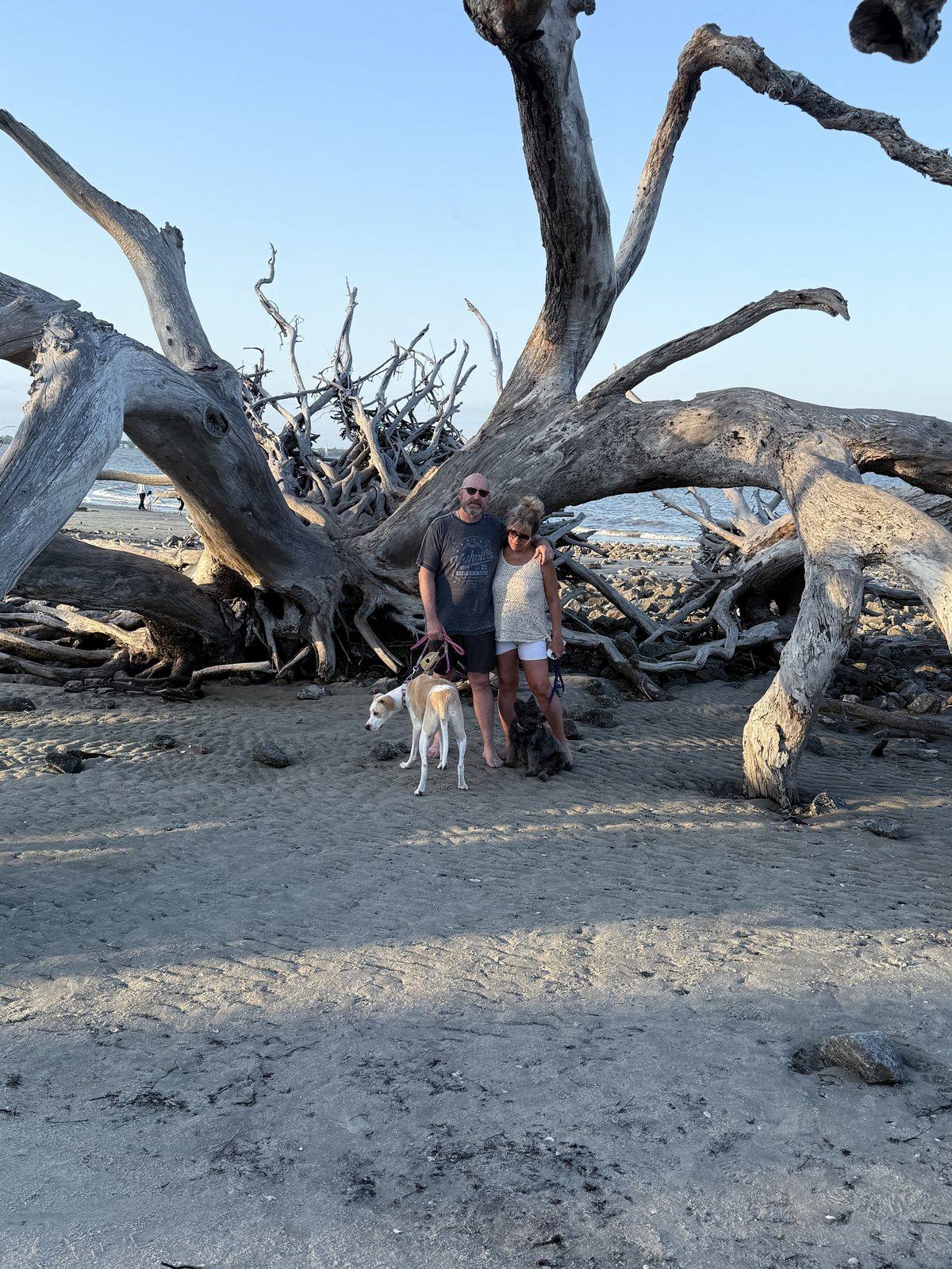 Photos from our stay at Jekyll Island Campground