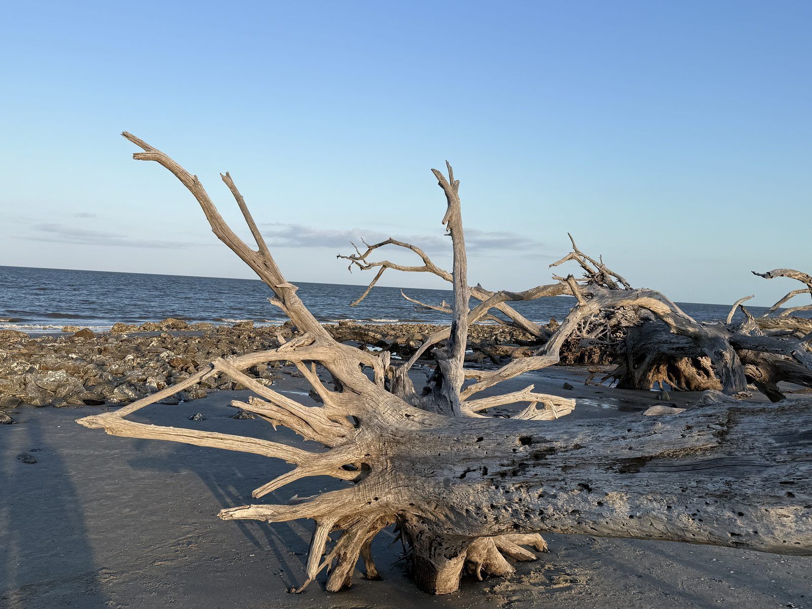 Our campsite at Jekyll Island Campground