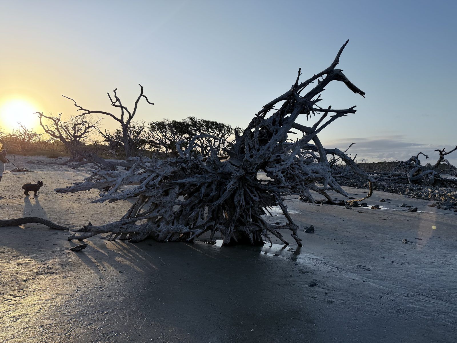 Our stay at Jekyll Island Campground