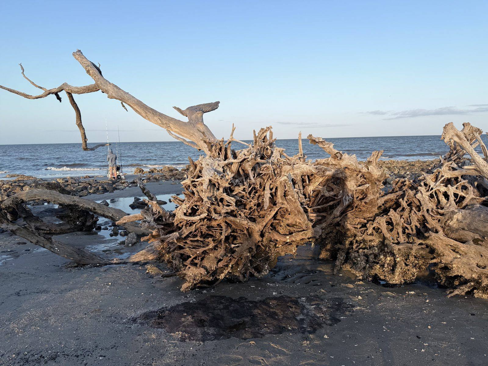 Photos from our stay at Jekyll Island Campground