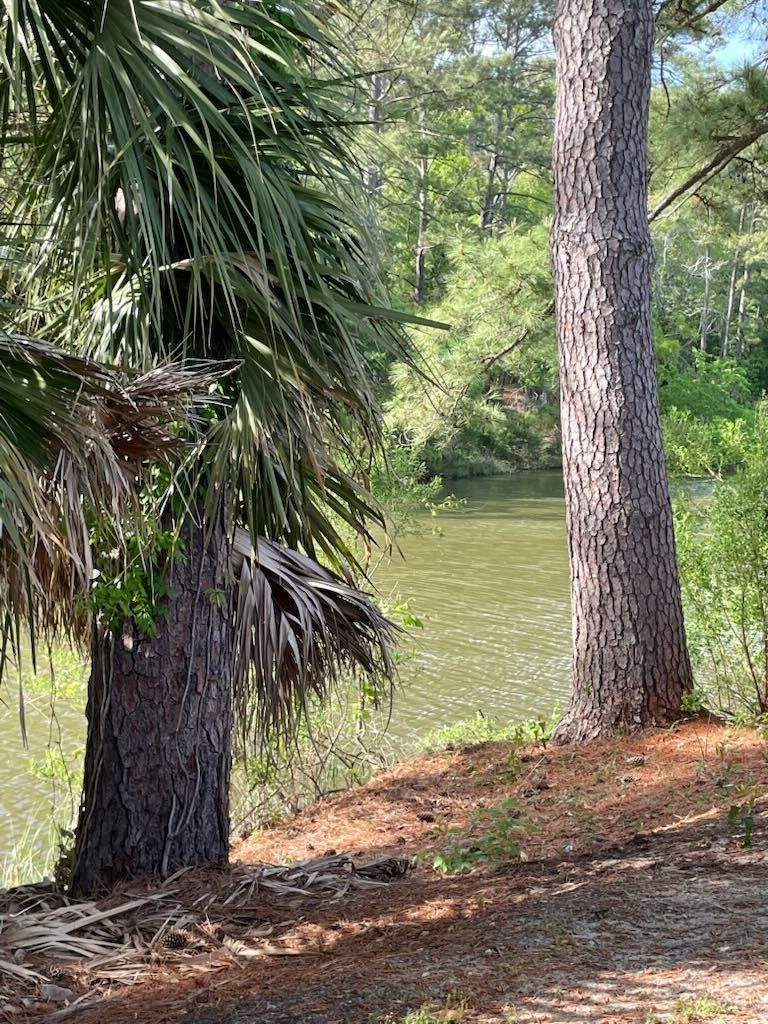 Our stay at Myrtle Beach KOA